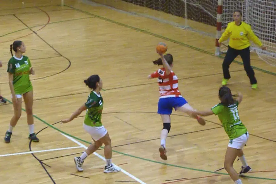 Una imatge d'arxiu d'un partit de l'Handbol Palautordera