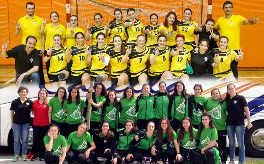 Joventut Mataró i Sant Quirze, doble ascens a Plata